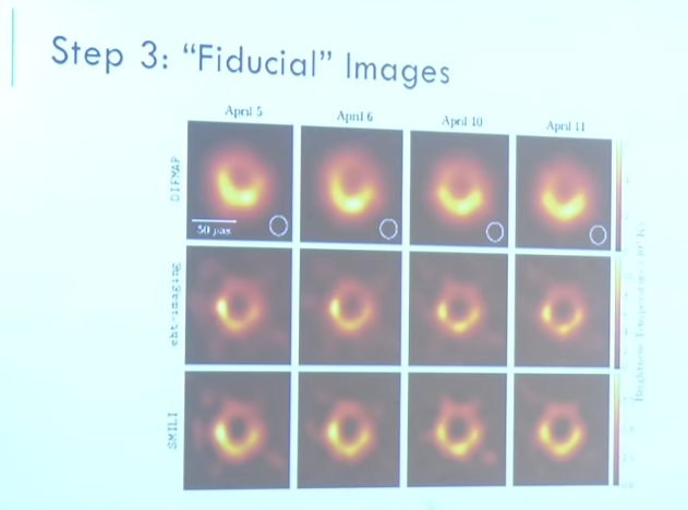 Fiducial images of a black hole